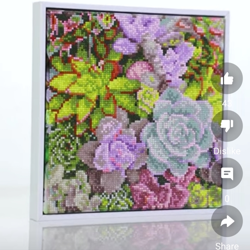 Diamond art succulents